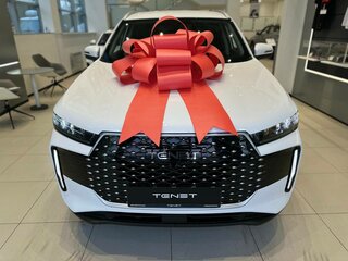 2025 Tenet T4, белый, 2573010 рублей, вид 4