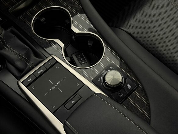 2020 Lexus RX 300 IV Рестайлинг, серый, 4790000 рублей - вид 21