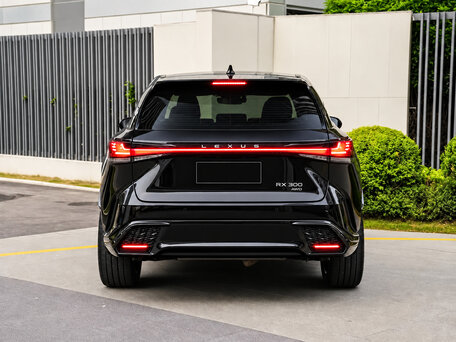 2025 Lexus RX 300 V, чёрный, 6490000 рублей, вид 5
