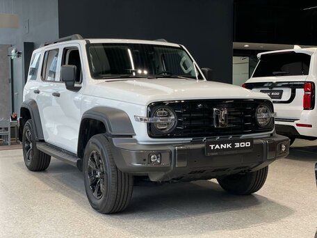 Tank 300 I