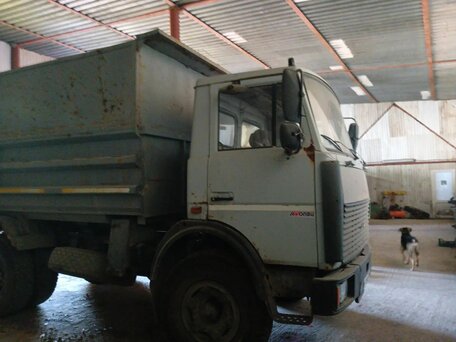 2003 КамАЗ 55102, серый, 650000 рублей, вид 2