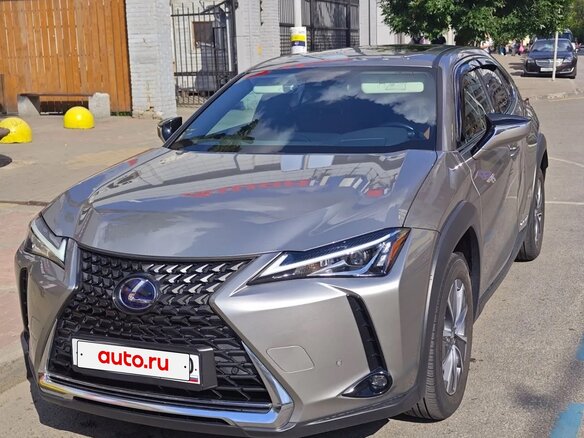 2021 Lexus UX 300e I, серый