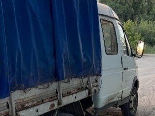 2000 ГАЗ ГАЗель (33023/330273) Фермер, серый, 170000 рублей, вид 3