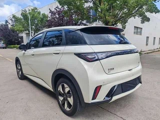 2026 BYD Dolphin 44.9 kWh I, белый, 1950000 рублей, вид 5
