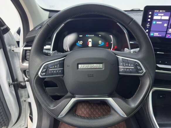 2022 Haval H6 III, белый, 1395000 рублей - вид 20