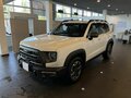 2023 Haval Dargo X I, белый - вид 7