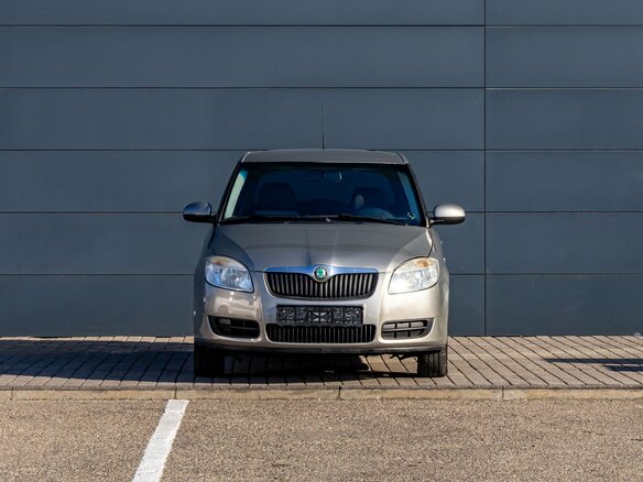 2008 Skoda Fabia II, серый, 795000 рублей - вид 1
