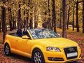 2010 Audi A3 II (8P) Рестайлинг 2, жёлтый, 1550000 рублей - вид 4
