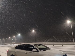 2015 Skoda Octavia III (A7), белый, 800000 рублей, вид 1