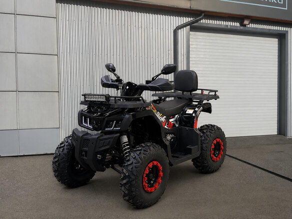 2026 Bison Warrior 200, чёрный, 162400 рублей