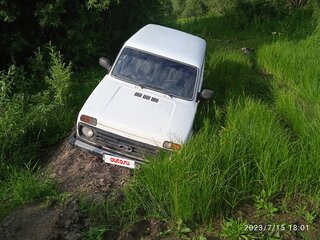 2010 Lada (ВАЗ) 2121 (4x4) I Рестайлинг, белый, 380000 рублей, вид 1