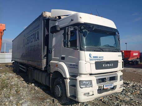 2023 КамАЗ 5490 NEO, белый, 4451000 рублей, вид 2