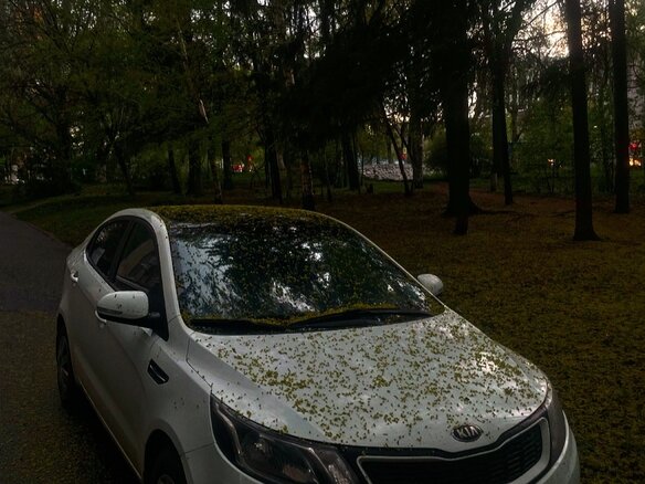 2013 Kia Rio 5-speed III, белый, 620000 рублей - вид 3