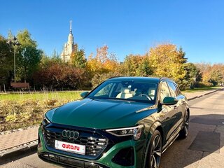 2023 Audi SQ8 e-tron, зелёный, 23700000 рублей, вид 2