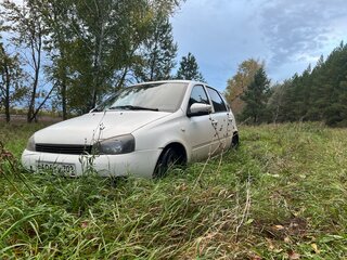 2011 Lada (ВАЗ) Kalina I, белый, 135000 рублей, вид 1