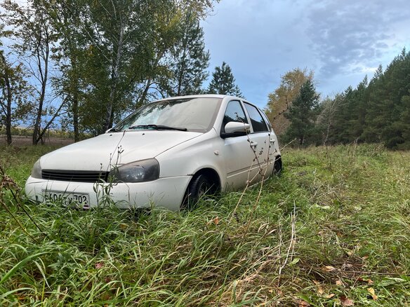 2011 Lada (ВАЗ) Kalina I, белый, 135000 рублей