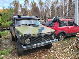 1996 Lada (ВАЗ) 2121 (4x4) I Рестайлинг, зелёный, 143000 рублей, вид 3
