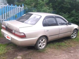 1994 Toyota Corolla VII (E100), золотистый, 220000 рублей, вид 3