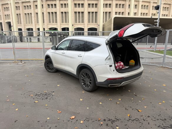 2024 Dongfeng DFSK ix7, белый - вид 2