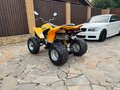 2008 BRP Can-Am DS 250, жёлтый, 329990 рублей - вид 4