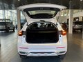 2021 Haval F7 I, белый, 1545000 рублей - вид 9