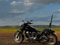 2005 Honda Shadow 750, чёрный, 460000 рублей