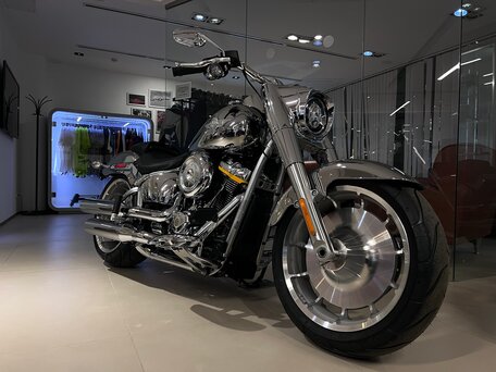 2025 Harley-Davidson Fat Boy, серебристый, 5300000 рублей, вид 2