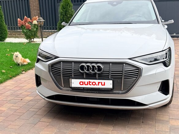 2019 Audi e-tron 50 I, белый, 3350000 рублей - вид 1