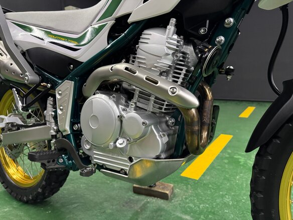 2020 Yamaha XT250 Serow, зелёный, 715000 рублей - вид 20
