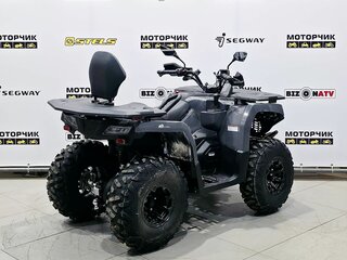 2026 Bizon YK250 LUX EFI, серый, 255000 рублей, вид 5