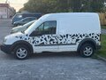 2003 Ford Transit Connect LWB I, белый, 300000 рублей - вид 1
