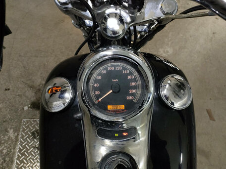 2004 Harley-Davidson Softail Deuce, чёрный, 770000 рублей, вид 5