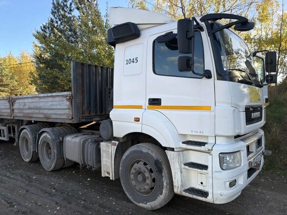 2016 КамАЗ 65206, белый, 1850000 рублей - вид 2