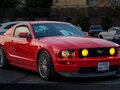 2005 Ford Mustang V, пурпурный, 3300000 рублей - вид 8
