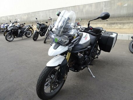 2012 Triumph Tiger 800, белый, 747000 рублей, вид 3