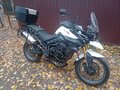 2011 Triumph Tiger 800, белый, 550000 рублей - вид 2