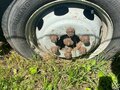 2007 ГАЗ ГАЗель (3302), белый, 275000 рублей - вид 3
