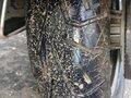 2009 Harley-Davidson Sportster 883, чёрный, 530000 рублей - вид 8