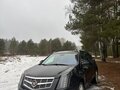 2010 Cadillac SRX II, чёрный, 1200000 рублей - вид 5