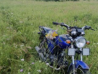 2020 Мотоальфа A1, синий, 55000 рублей, вид 1