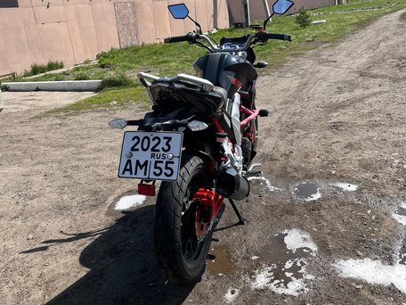 2021 Regal Raptor DD250E-5, чёрный, 170000 рублей, вид 4