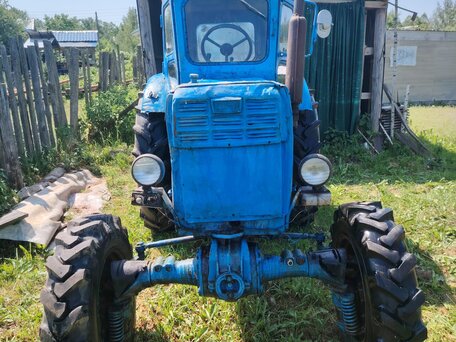 1982 ЛТЗ Т-40АМ, голубой, 250000 рублей, вид 3