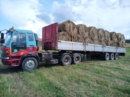 1993 Isuzu Giga (E-series), красный, 1500000 рублей, вид 1