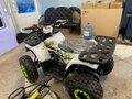 2023 Motoland Wild 125, белый - вид 1