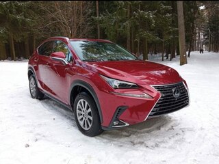 2019 Lexus NX 300 I Рестайлинг, красный, 3800000 рублей, вид 5