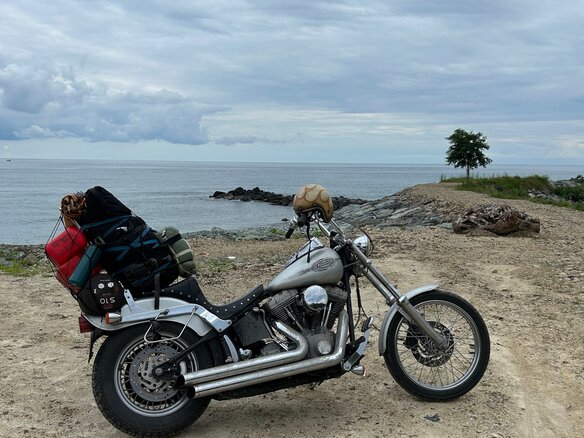 2004 Harley-Davidson Softail Standard, серебристый, 720000 рублей - вид 3