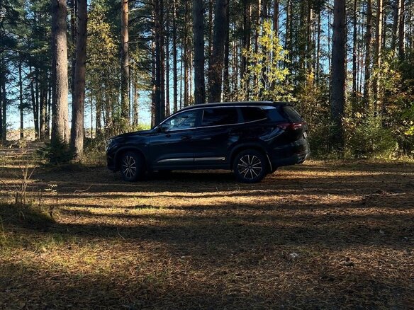 2024 Chery Tiggo 8 Pro Max I Рестайлинг, чёрный, 2790000 рублей - вид 5