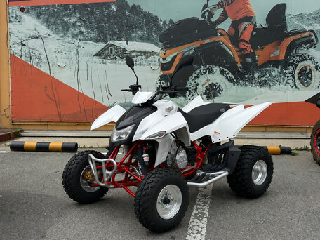 2026 Sym QuadRaider, белый, 379000 рублей, вид 2