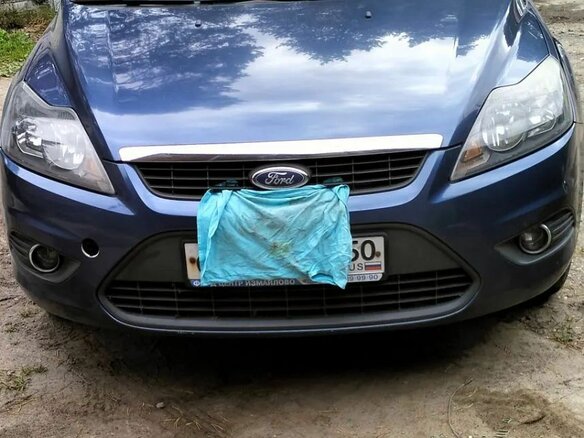 2008 Ford Focus II, синий