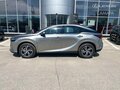 2026 Lexus RX 300 V, серый, 8090000 рублей - вид 8
